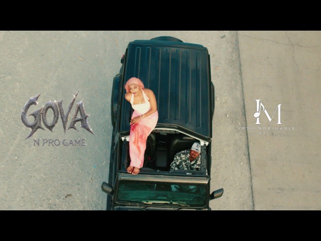 N Pro Game - Gova ( Visualizer )