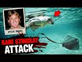 The deadly last minutes of steve irwin the crocodile hunter