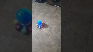 baby einstein ocean explorer go opus go 4-in-1 crawl pal