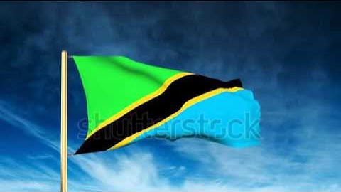 Tanzania flag slider style. Waving in the wind with cloud background animation Stock video by