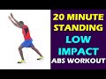 20 Minute Standing Low Impact Abs Workout for A Flat Tummy | Low Impact HIIT Beginner Workout