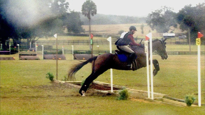 Tracy Ferguson  "R. Chumley"  Majestic Oaks Horse ...