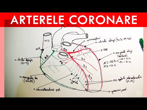 Video: Ce este reimplantarea arterelor coronare?