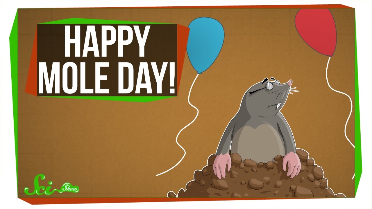 Image result for MOLE DAY