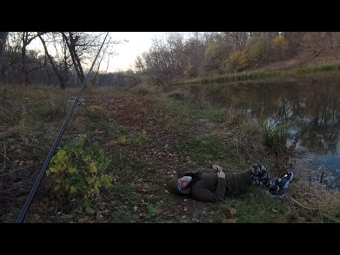 Осенний хищник. Рыбалка с женой на Северском Донце