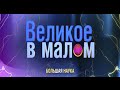 Великое в малом. Парадоксы зрения.