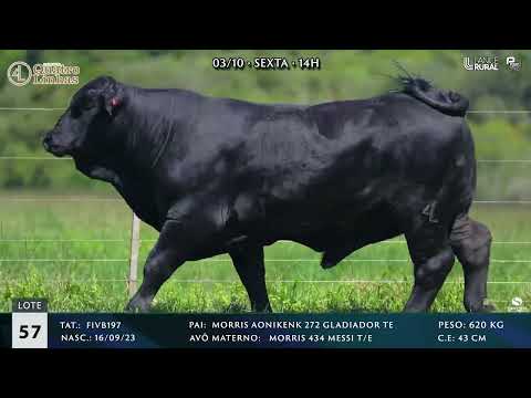 LOTE 057