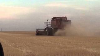 Wheat harvest 2011 2011_06_02_19_57_25.wmv