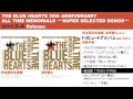 [試聴] 若旦那　「TRAIN-TRAIN」（THE BLUE HEARTS トリビュート収録）