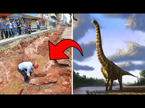 Video: Gli Scienziati Hanno Allevato Embrioni Di Polli Con Mascelle Di Dinosauro - Visualizzazione Alternativa