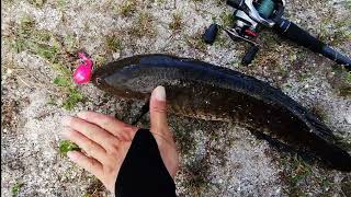 YL Mart Floating soft plastic 10cm 12g#haruan #snakehead #shimano screenshot 4