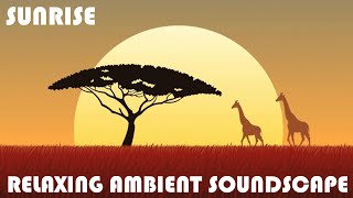 Relaxing Musical Soundscape - Sunrise - Percussion/Mixed Drum Breaks - Soft Vocals - Warm Synths