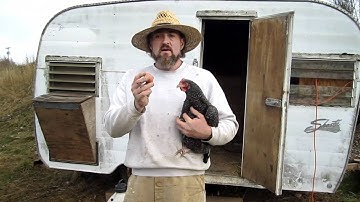 Cool things in Nature: Farmisode Chicken