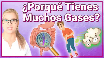 ¿Qué bacteria provoca el exceso de gases?