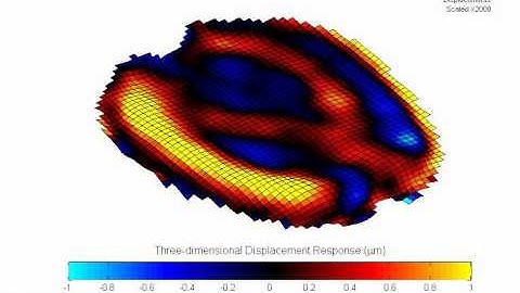 Quantitative Imaging Methods for the Development & Validation of Brain Biomechanics Models: Video 3