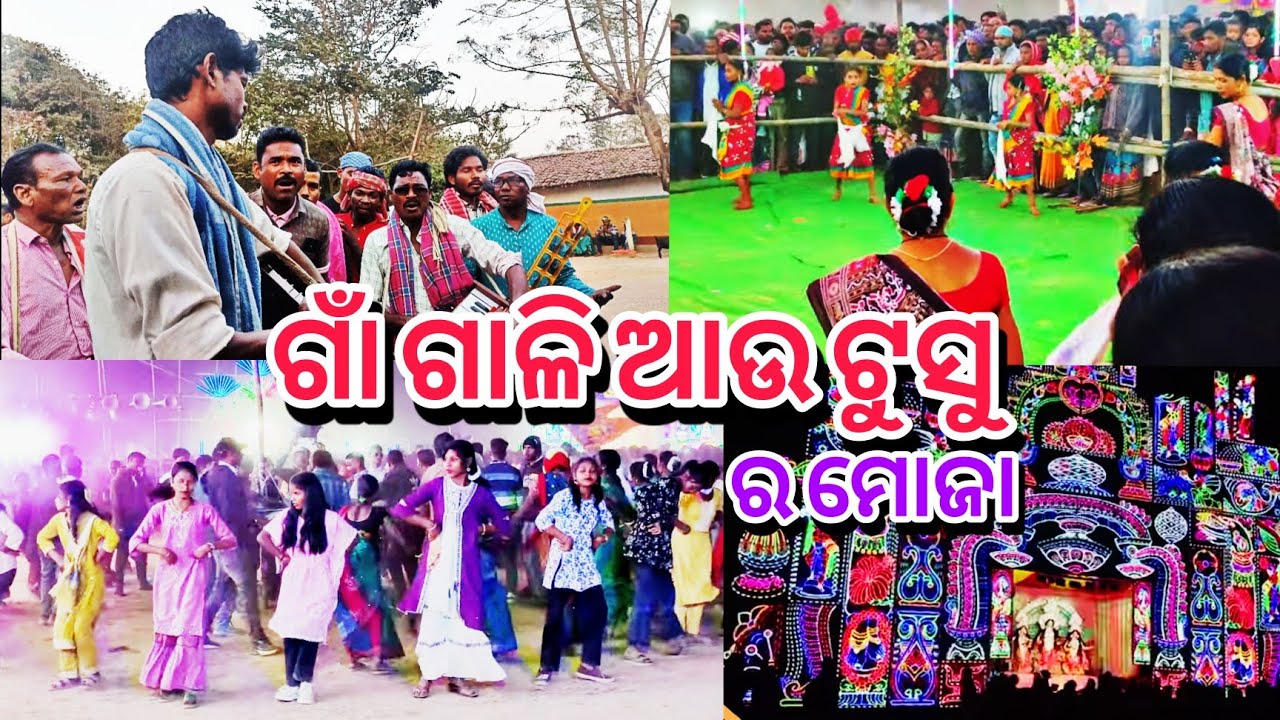 ଗାଁ ଗାଳି ସହିତ ଟୁଶୁ ମେଳା ଦେଖିବାକୁ ଗଲି RAIRANGPUR l DAILY Odia vlog video 2026 l