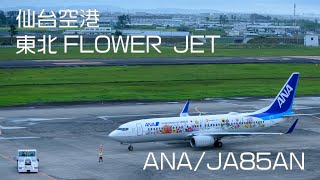 仙台空港 東北FLOWER JET/JA85AN離陸 ANA Boeing 737-800 4K UHD 飛行機