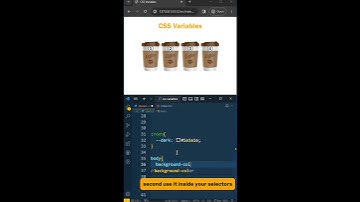 CSS variables