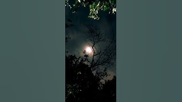 🌕 #shorts #viral