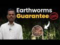 Sustainable Farming: How Did the Arecanut Plantation Achieve Such Yield?|Farmer Success Story