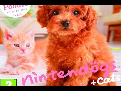CGRundertow NINTENDOGS + CATS: TOY POODLE & NEW FRIENDS for Nintendo 3DS Video Game Review