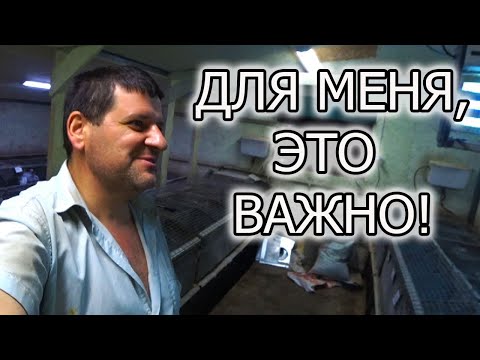 ЧТО ТАКОЕ ВЫХОД