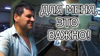 видео: ЧТО ТАКОЕ ВЫХОД ИЗ ГНЕЗДА КРОЛЬЧАТ картинка: ЧТО ТАКОЕ ВЫХОД ИЗ ГНЕЗДА КРОЛЬЧАТ