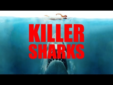 what-makes-a-great-killer-shark?