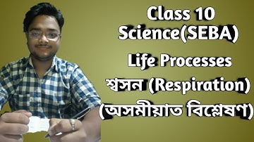 Respiration in Human Being in ASSAMESE || Life Processes || Class 10 Science(SEBA)
