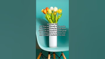 Thumbnail of You are the salt of the earth  #happysunday #sundaymessage #saltoftheearth #christianshorts