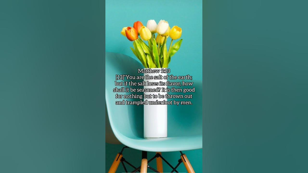 You are the salt of the earth  #happysunday #sundaymessage #saltoftheearth #christianshorts