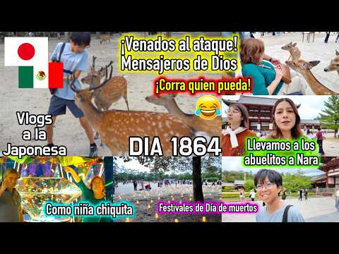 Deer on the attack! Tender Messengers of God! 😂 + Visit to Nara, Japan - Ruthi San ♡ 11-08-26
