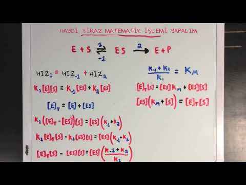 Video: Dengeli bir denklemde katsayıların önemi nedir?