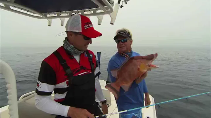 Hogfish Fishing Offshore with Light Tackle off of Tampa Bay