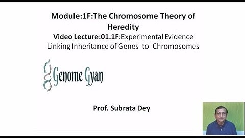 The Chromosome Theory of Heredity