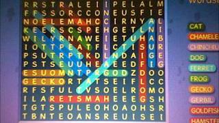 Binweevils WordSearch Answers- Pets