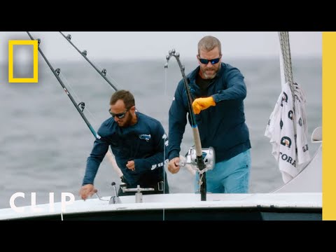 Video: Blev ond tonfisk inställd?