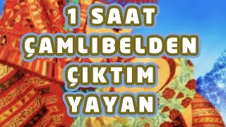 1 Saat Çamlıbelden Çıktım Yayan - Sevda Künktakan  Bizim Ninniler