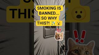 Why Do Airplane Bathrooms Still Have Ashtrays? Shocking!! ✈️🚬