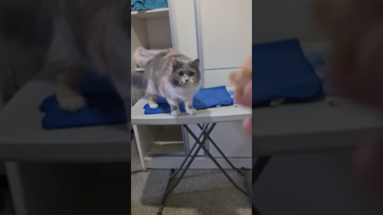 2 марта 2026 г.