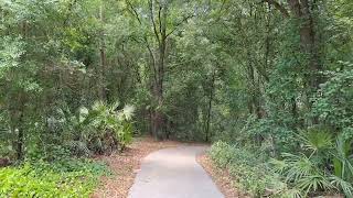 Withlacoochee River Park Pasco County Florida