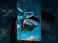 غدرهم لن يطول وفلسطين لنا وكيانهم يزووول فلسطين حرة Freepalestine Shorts 