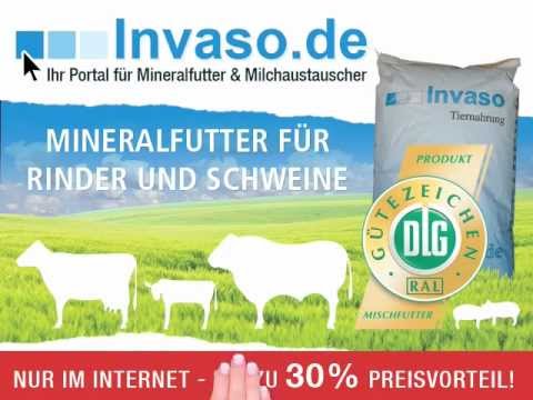 www.invaso.de - Ihr Portal für Mineralfutter und Milchaustauscher