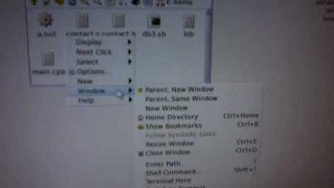 Puppy Linux zip files in a directory