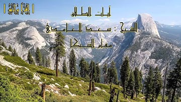 آيات الطلاق من سورة البقرة بصوت الشيخ سعد الغامدي | مقام السيكا
