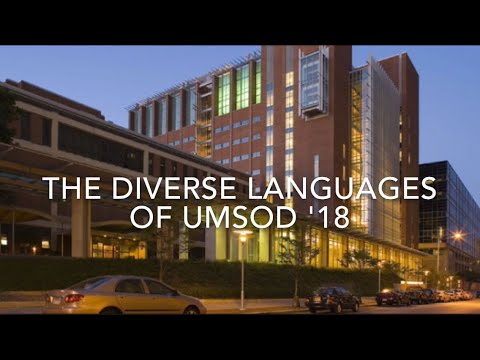 the-diverse-languages-of-umsod-'18