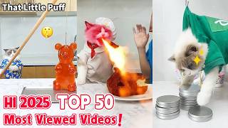 Top 50 Most Viewed Videos In H1 2025 That Little Puff