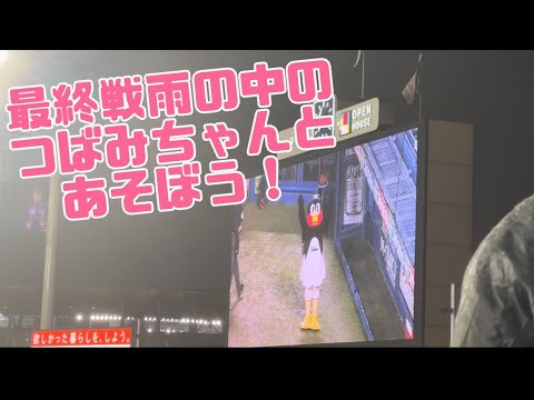 雨の中、つばみちゃんとあそぼう最終戦はあみだくじ（2023年10月4日阪神タイガース最終戦）