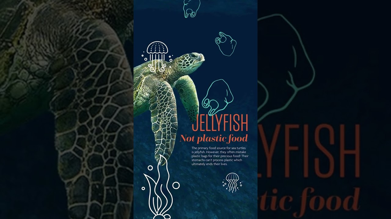 Font Pairing Tips with Adobe Express