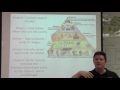 Feudalism in Action Comparing Japan and Europe